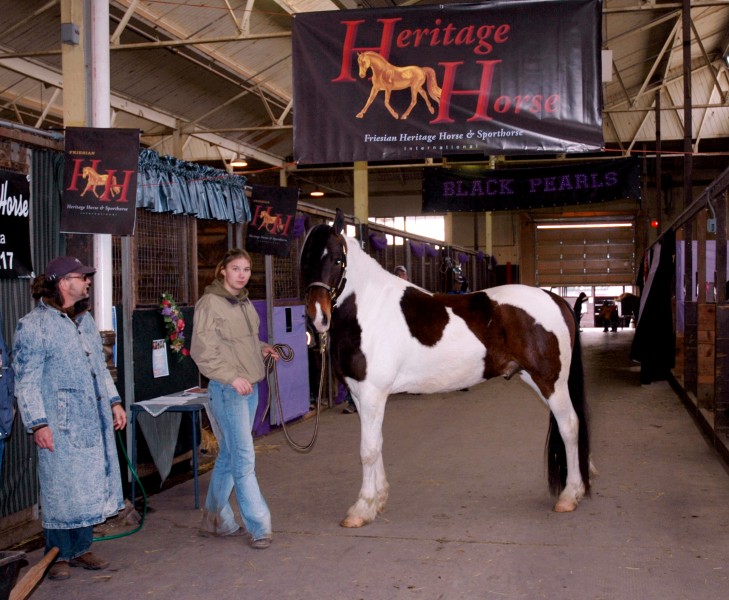 Minnesota Horse Expo 2008, Friesian Sporthorses